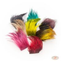 European Wild Boar - All Colours